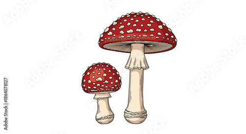 Detailed illustration of two iconic red fly agaric mushrooms with white spots on their caps standing on long white stalks against a white background.