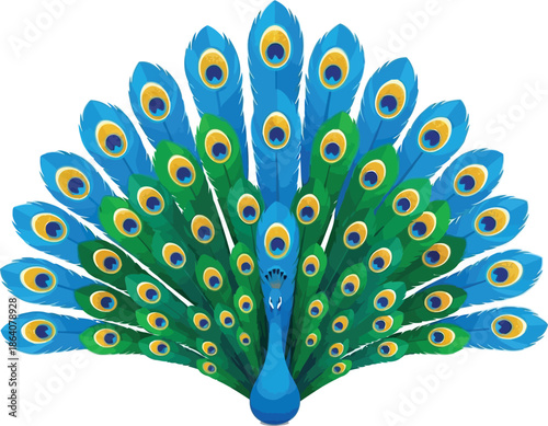 Peacock feather isolated on transparent background