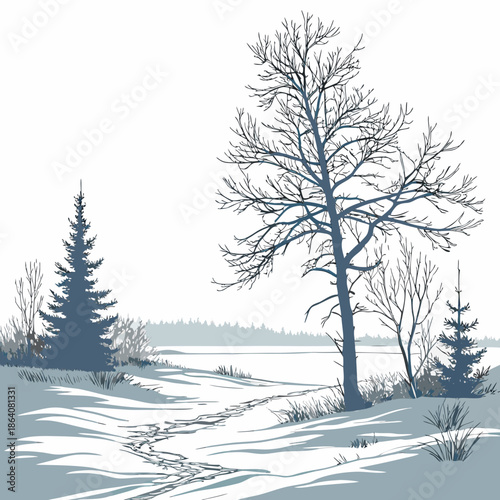 Frozen tundra with bare trees and snow winter