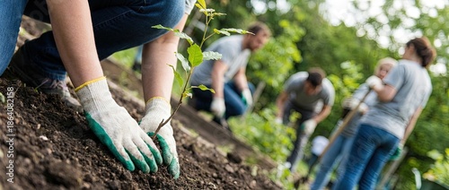 Wallpaper Mural Earth day Arbor Day holiday sustainable celebration Torontodigital.ca
