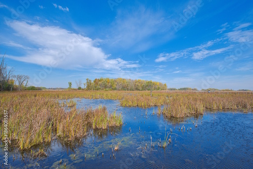 Horicon Marsh Wildlife Refuge in Wisconsin