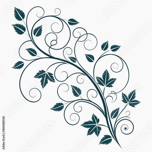 Elegant vine with leaves