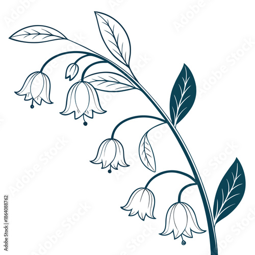 Delicate white bell flowers on a stem