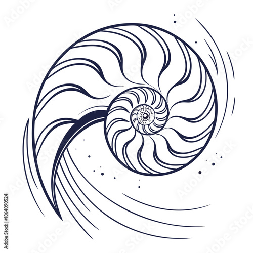 Spiral motion around central luminous core white nautilus shell