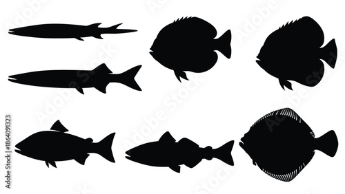 Black silhouettes of various fish species showcasing different body shapes