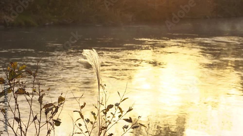 夜明けの川面に毛嵐が漂う初冬の風景