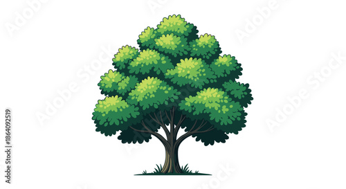 Large leafy green tree illustration with a thick brown trunk and lush foliage isolated on white background.
