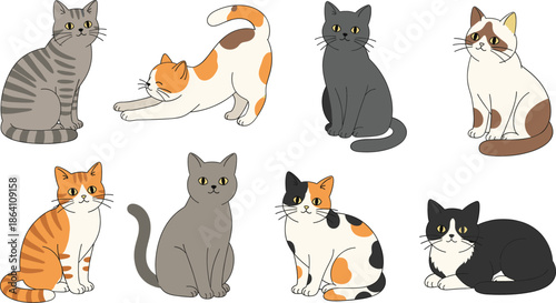 Cute cat characters set with different breeds colors and sitting poses cartoon pet vector illustration