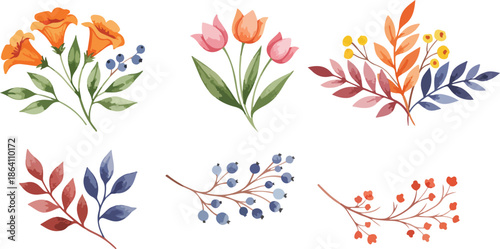 Watercolor floral illustrations of various colorful flowers and leaves arrangement