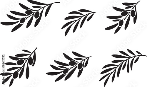 Olive Branch Leaf Silhouette Vector Set