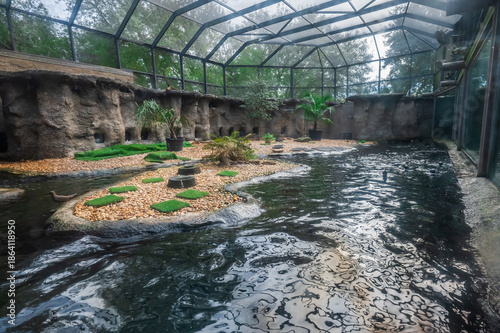 Splashes of joy in their natural habitat, Jacksonville Zoo, Jacksonville, Florida, United States of America