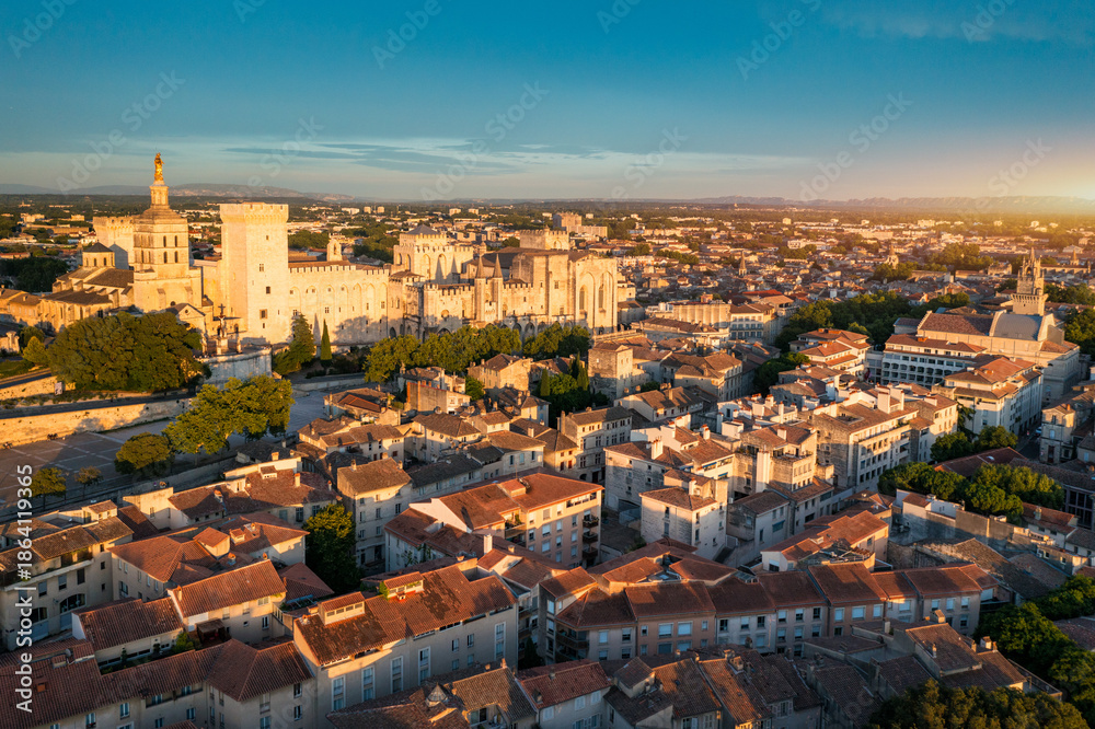 Fototapeta premium View of Avignon with Palais des Papes during sunset in Southern France. Medieval architecture along the Rhone River in Avignon, Provence, France. The Palais des Papes in Avignon, South France.