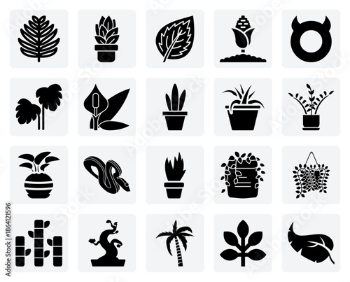 Houseplant Identification Guide With Popular Species Like Monstera, Snake Plant, And Peace Lily For Gardening Blogs And Resources.