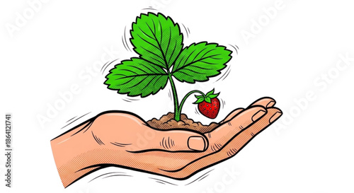 Strawberry seedling growing in soil held in a hand  
