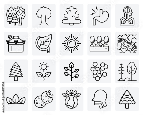 Environmental And Biological Education Visuals – Depicting A Forest Food Web, Plant Life, And Microbiological Elements.