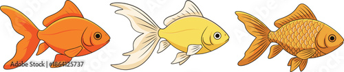 Cute goldfish characters set with different fin shapes and colors cartoon aquatic vector illustration