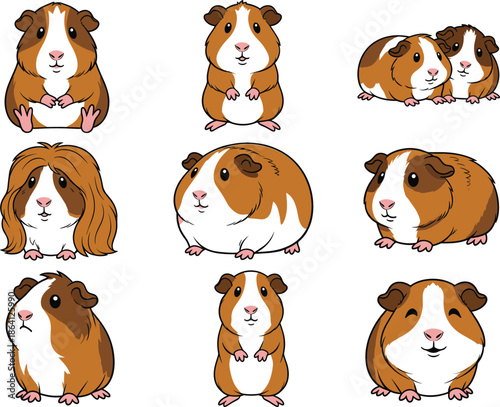 Cute guinea pig character set in different poses expressions cartoon pet animal vector illustration