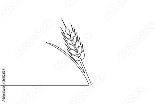 Minimalist single line drawing of a wheat ear on a white background
