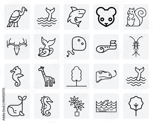 Animal Kingdom Variety – Showcasing Unique Creatures Like The Umbrellabird, Fin Whale, And Komodo Dragon For Documentary Visuals