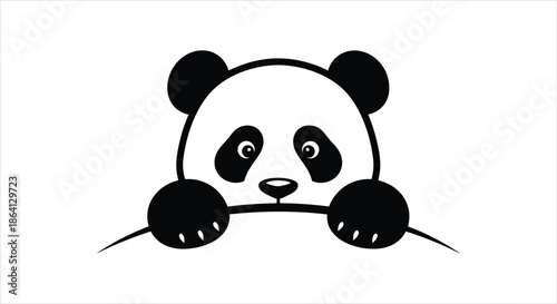 Cute panda peeking over a white background, cartoon animal illustration