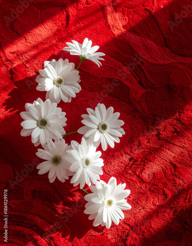 White daisy flowers on red textured fabric background