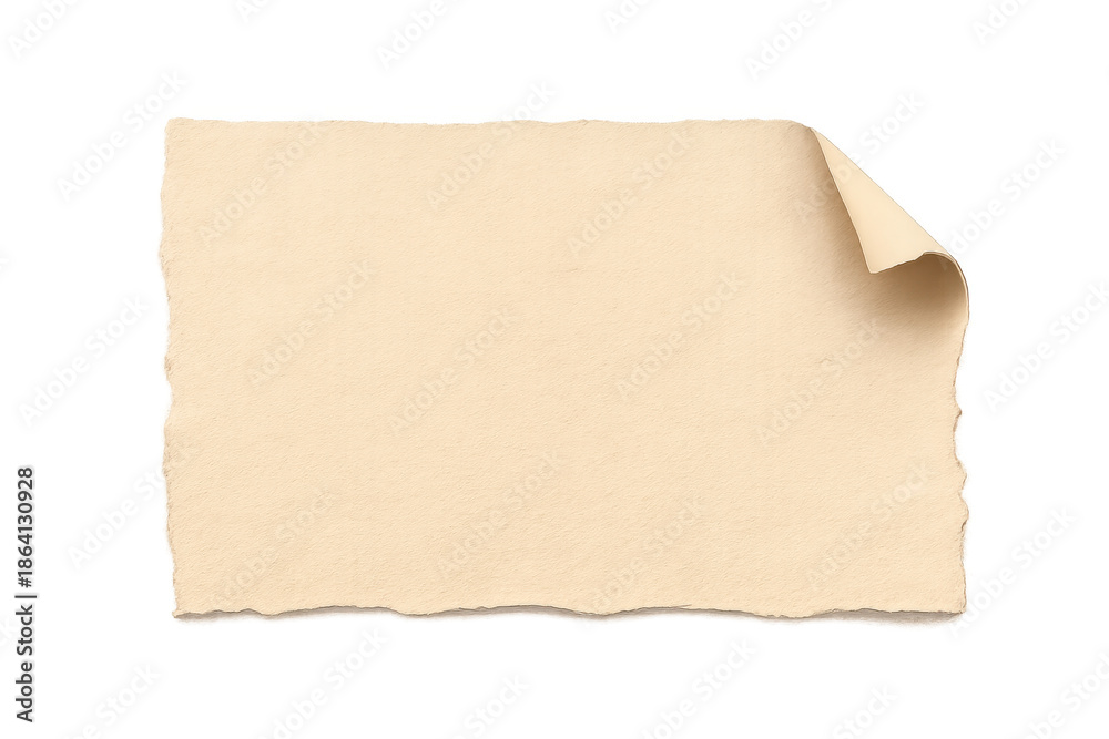 Fototapeta premium Vintage blank paper with torn edges and curled corner providing copy space on transparent background