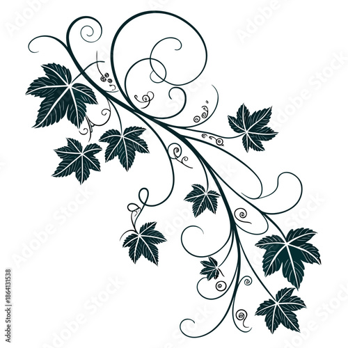 Elegant vine with leaves