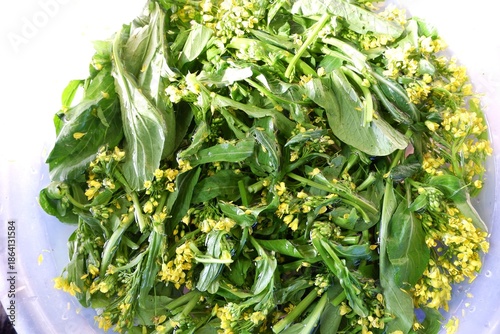 Clean Bok Choy Leaves Soaking in Water, Food Preparation