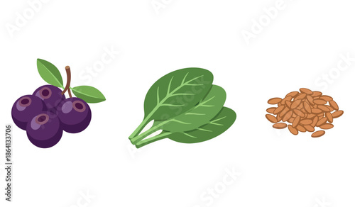 Acai berries, spinach leaves, and flax seeds: nutrient-rich superfoods illustration