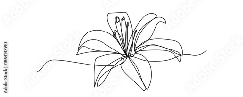 Elegant lily flower line art drawing minimalist line icon.  floral, nature, beauty, delicate, artistic, sketch symbol. vector illustration.
