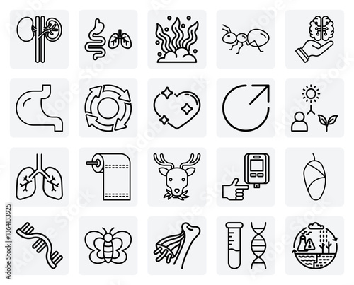 Core Concepts In Biology Education – Anatomy, Genetics, Ecology, And Cellular Processes For Students And Teachers