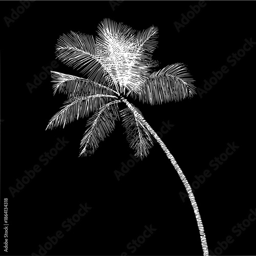 Palm tree vector illustration tropical summer vacation beach design exotic nature plant silhouette isolated black background