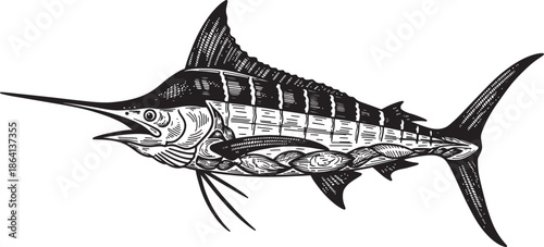 Detailed illustration of a marlin fish with intricate patterns isolated