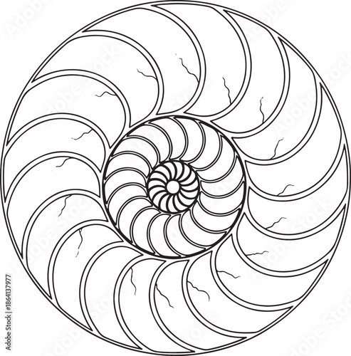 Hand drawn continuous line art spiral vortex illustration