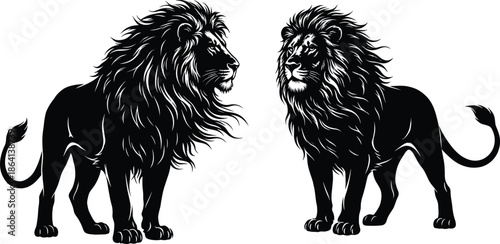 Black and White Silhouette Vector Illustration of Two Proud Male Lions with Large Manes Standing Side by Side on White Background