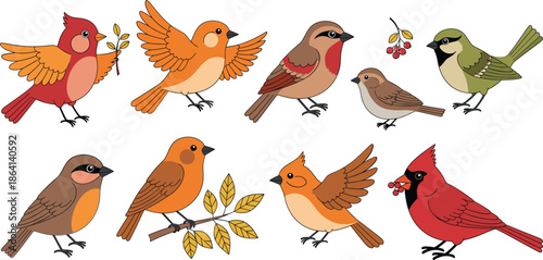 Cute woodland bird characters set with different species poses and autumn colors cartoon vector illustration