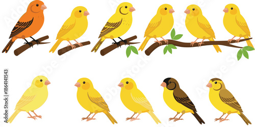 Cute yellow bird illustrations set with different poses feather colors and branch elements vector