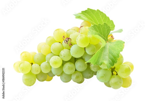 Bunch of green grapes isolated