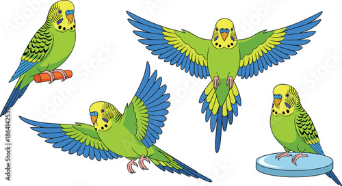 Green budgerigar parakeet character set with flying and sitting poses cartoon pet bird vector illustration