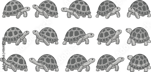 Gray turtle silhouette set in different walking poses minimal reptile animal vector illustration