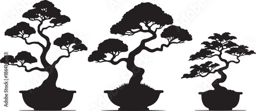 Bonsai Tree Silhouette Vector Collection

Japanese Bonsai Plant Black Art Set

Minimal Bonsai Tree Pot Silhouette Bundle
