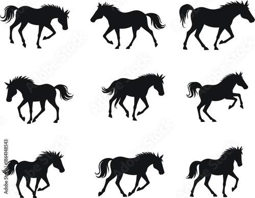 Silhouettes of Horses in Various Poses.