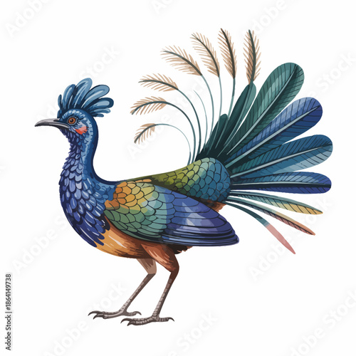 A stunning and vibrant illustration of a beautifully colored bird with elaborate feathers, showcasing the artistry of nature and the beauty found in wildlife illustrations.