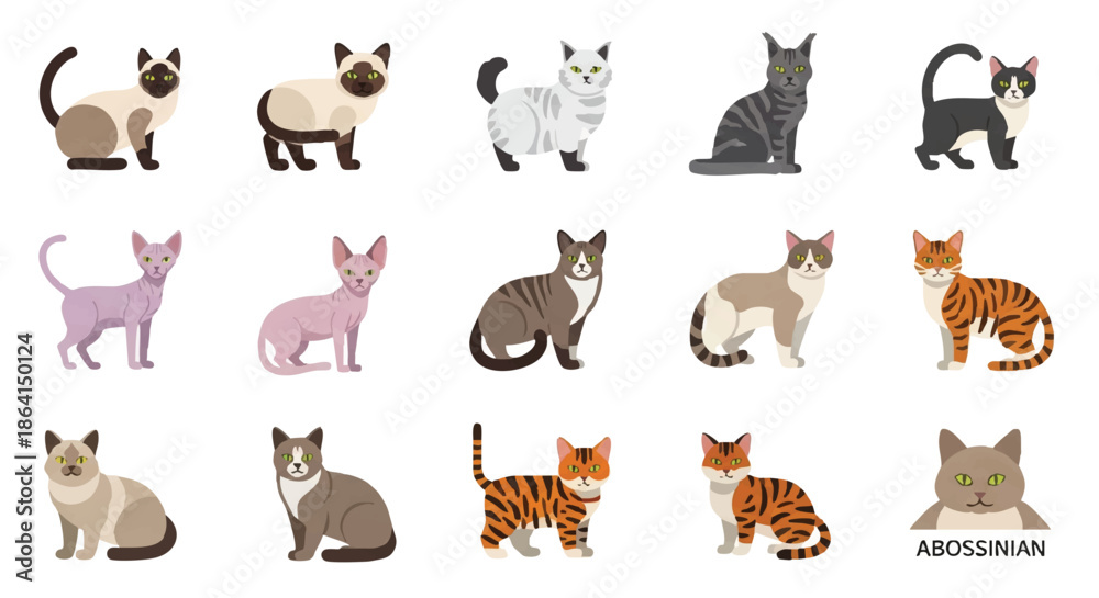 Fototapeta premium Colorful set of popular cat breeds represented as simple flat vector icons, showing different feline faces and features isolated on a clean white background.