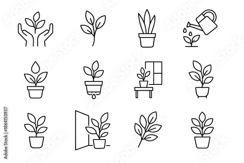 Routine soil icon placement window watering green vector healthy plant indoor