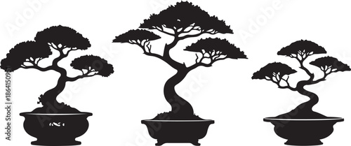 Classic Bonsai Tree Silhouette Vector Set

Minimal Japanese Bonsai Black Art Collection

Elegant Potted Bonsai Tree Illustration Bundle