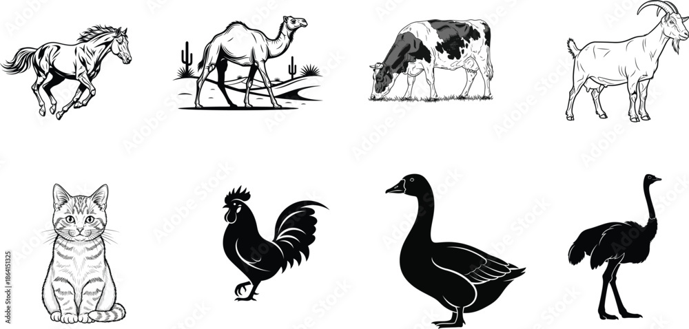 Obraz premium Animal silhouettes and drawings including horse camel goat cat rooster duck and ostrich silhouette