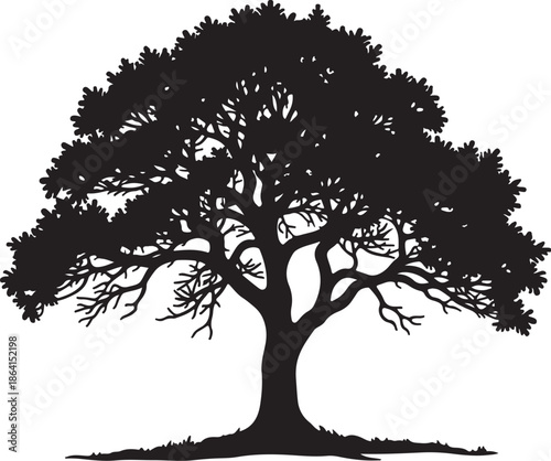 Classic Bonsai Tree Silhouette Vector Set

Minimal Japanese Bonsai Black Art Collection

Elegant Potted Bonsai Tree Illustration Bundle