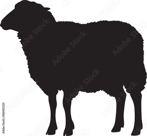Silhouette of a black sheep standing alone isolated on a transparent background