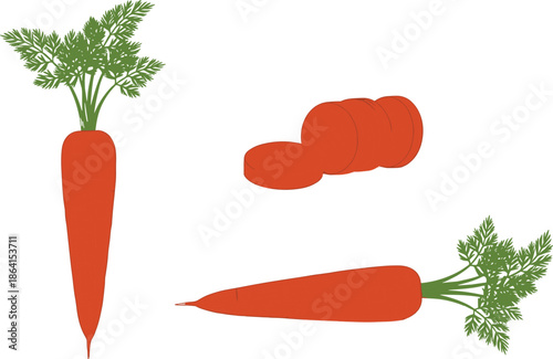 Carrot whole and sliced set, fresh vegetable icon, healthy food ingredient, organic root crop illustration – flat vector illustrationCarrot whole and sliced set, 